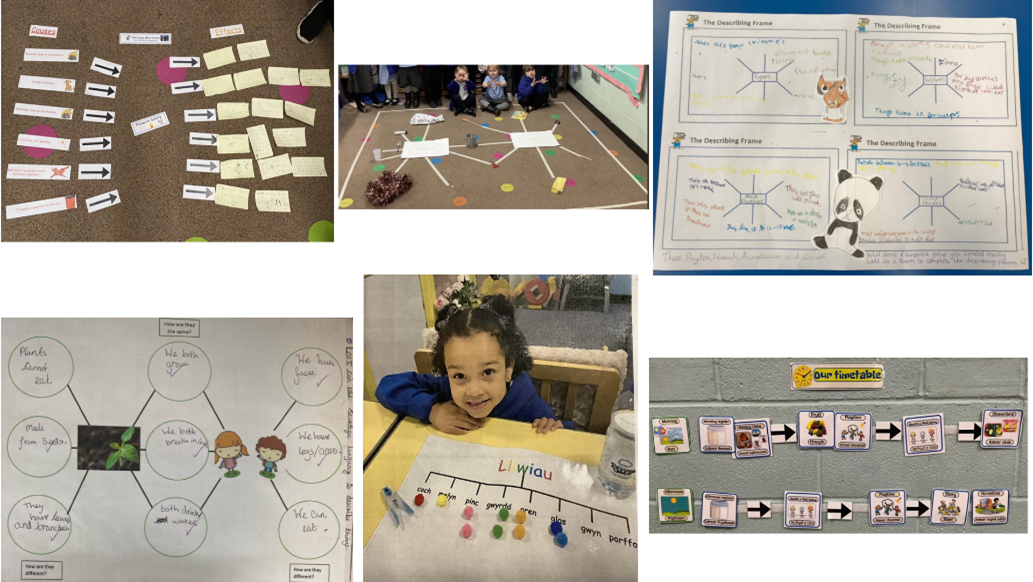 Cadle Primary School - Our journey so far... - Thinking Matters