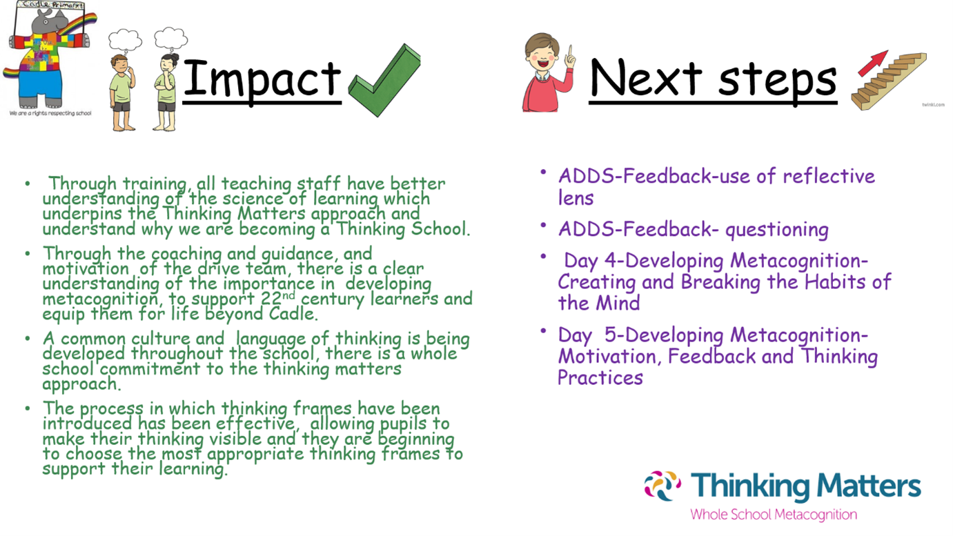 Cadle Primary School - Our journey so far... - Thinking Matters