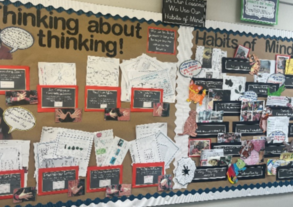 Visits to Thinking Schools